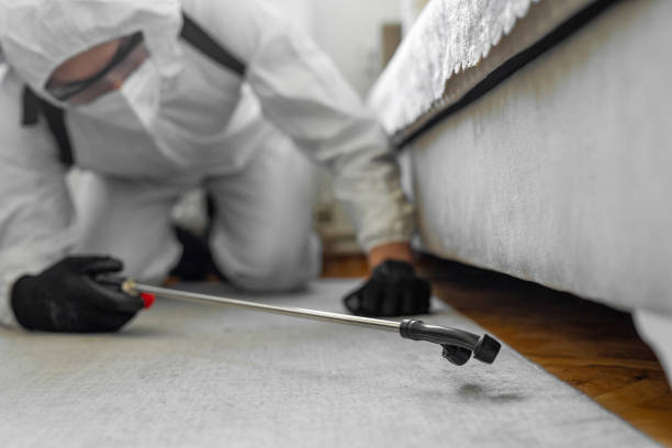 Professional Termite Control technician working in Mankato, MN