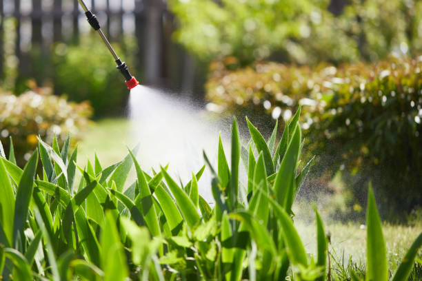 24/7 Emergency Termite Control experts in Mankato, MN